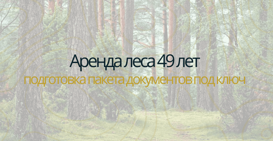 Аренда леса на 49 лет в Кингисеппе