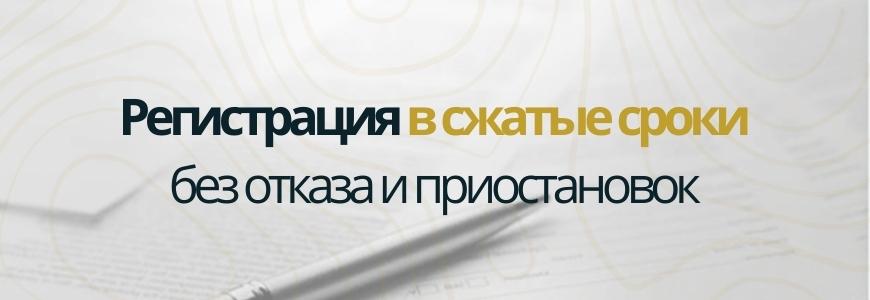 Регистрация в сжатые сроки под ключ в деревне Большая Пустомержа