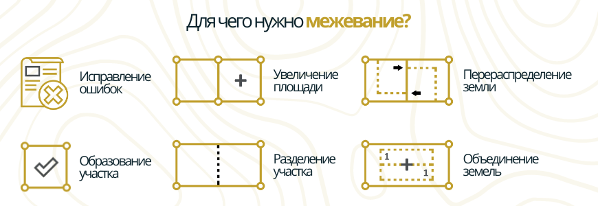 Для чего межуют землю в деревне Большая Пустомержа